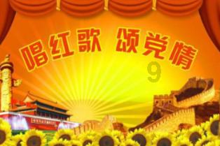 寻找丢失的钱包